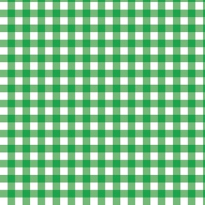 Green Gingham - Small (Watermelon Collection)