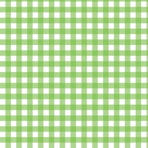 Light Green Gingham - Small (Watermelon Collection)