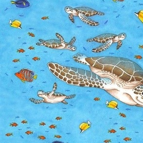 cute sea turtles