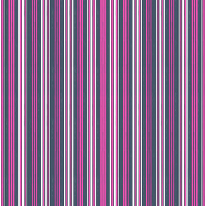 awning stripe 5