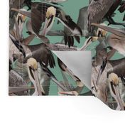 Pelican Paradise-Green 
