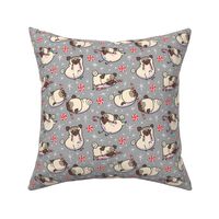 Candy Cane Pugs Fawn - flannel gray