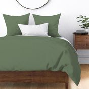 Medium Green Earth Tone Plain Solid