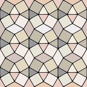 honeycomb - geometric shapes - modern neutrals on black