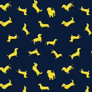 Spotty Doxies // Golden Yellow on Dark Navy