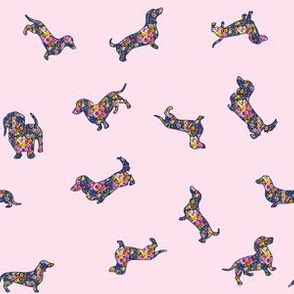 Doxies and Fleurs // Blush