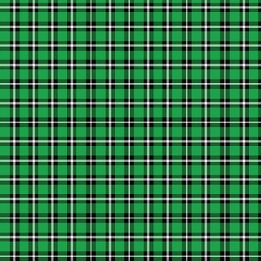 Green Plaid - Small (Watermelon Collection)