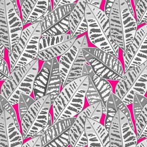 Crotons Are Cool! - greyscale on magenta pink, medium/large 
