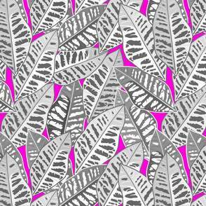Crotons Are Cool! - greyscale on orchid pink, medium/large 