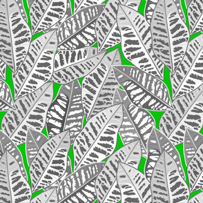 Crotons Are Cool! - greyscale on lime green, medium/large 