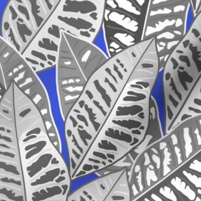 Crotons Are Cool! - greyscale on cobalt blue, medium/large 