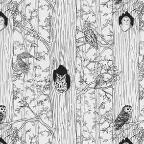 Owl Woods // grey