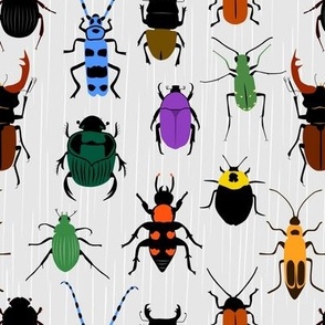 large Endangered Beetles