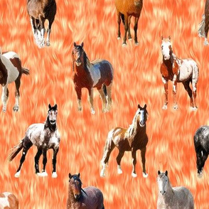 Horses on Fiery Graize