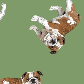 English Bulldogs - Medium - Scattered on Green