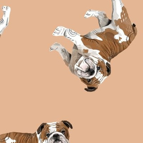 English Bulldogs - Medium - Scattered on Peach