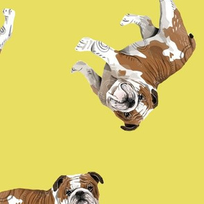 English Bulldogs - Medium - Scattered on Yellow