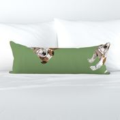 English Bulldogs - Large - Scattered on Green