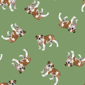 English Bulldogs - Large - Scattered on Green