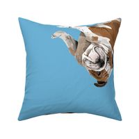 English Bulldogs - Large - Scattered on Blue