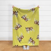 English Bulldogs - Large - Scattered on Yellow