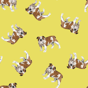 English Bulldogs - Large - Scattered on Yellow