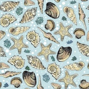 Hand drawn Ocean Shells, baby blue-small
