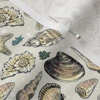 Hand Drawn seashells on Ivory, small