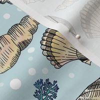 Jumbo Hand-Drawn Ocean Shells