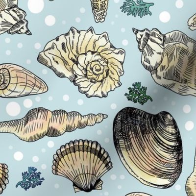 Jumbo Hand-Drawn Ocean Shells
