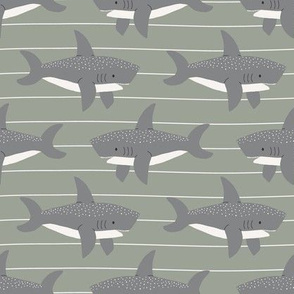 swimming sharks // sage