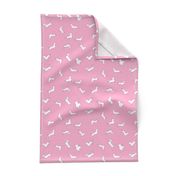 Gingham Doxies // Lt. Pink on Pink