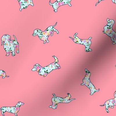 Floral Doxies // Mint on Coral Pink