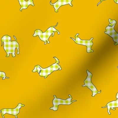 Gingham Doxies // Chartreuse on Gold