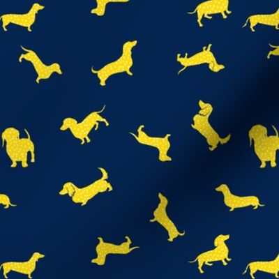 Polka Doxies // Golden Yellow on Navy