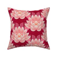 Lotus Blossoms in Pinks and Red