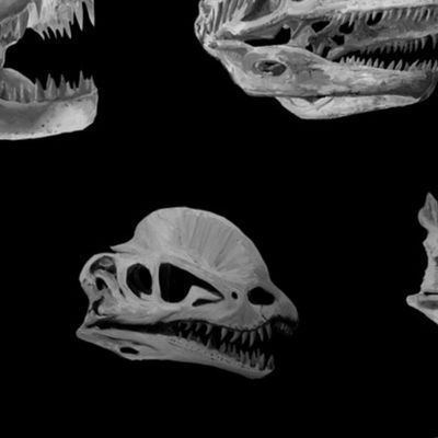 Greyscale Dino skulls on black