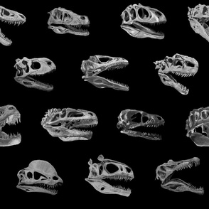 Greyscale Dino skulls on black