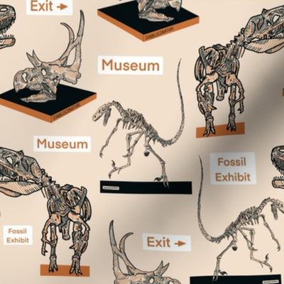 Dinosaur Fossil Museum