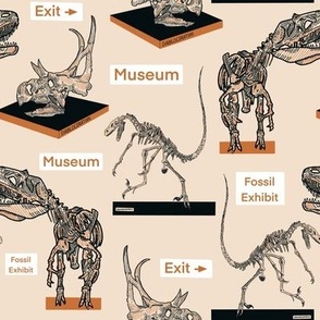 Dinosaur Fossil Museum