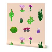 Cactus Garden 2021
