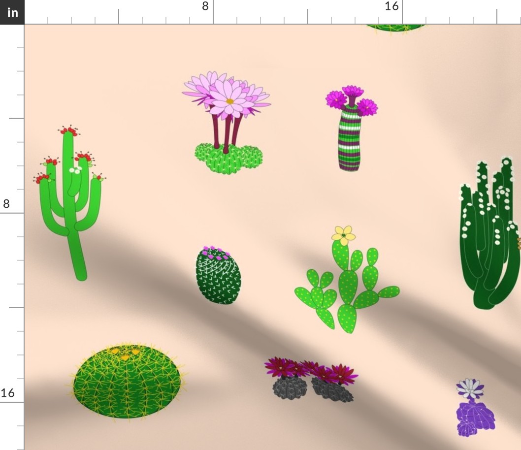 Cactus Garden 2021