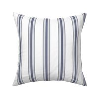 French Blue Stripe Mattress Ticking