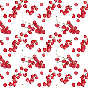 red currant pattern 3