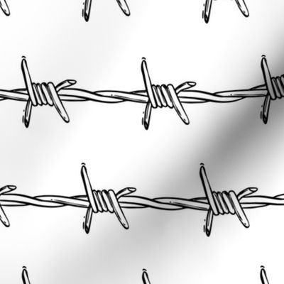 barbed wire white - small 