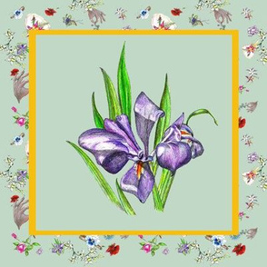 Dainty Delights Purple Iris