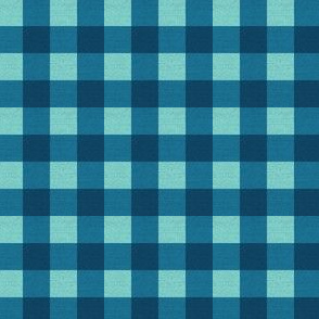 0.5'' Gingham check with texture Teal