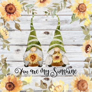 You Are My Sunshine Green Gnomes 18 inch Square