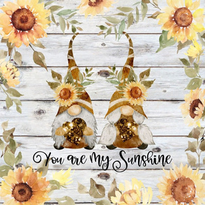 You Are My Sunshine Golden Brown Gnomes 18 inch square