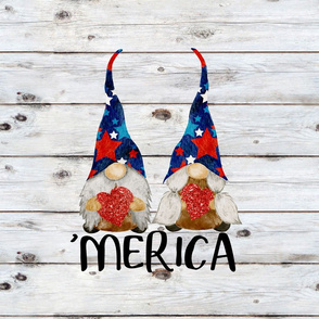 Merica Stars and Stripes Gnomes 18 inch square